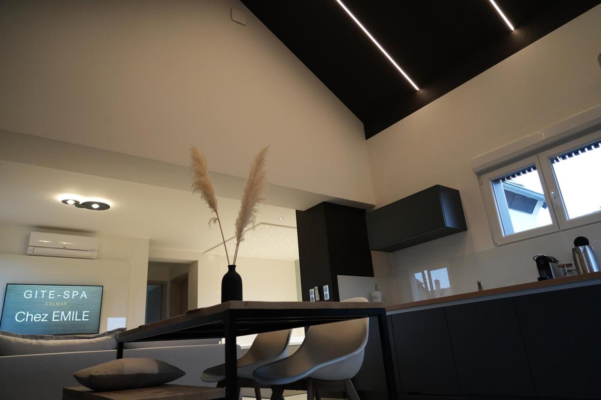 Gite Spa L'Atelier Emile - Spa Privatif - 5 Min Colmar Sainte-Croix-en-Plaine Værelse billede